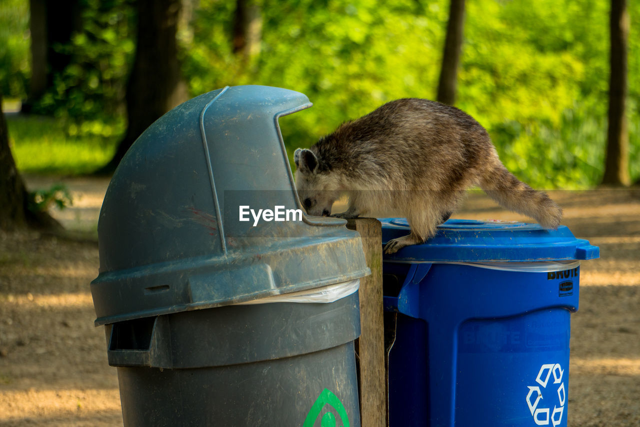 CLOSE-UP OF GARBAGE BIN ON TABLE AGAINST WALL