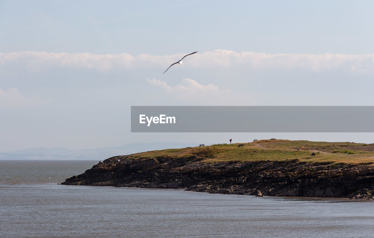 Scenic view of sea against sky with a seagull in flight