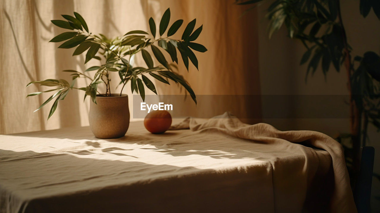 potted plant on bed