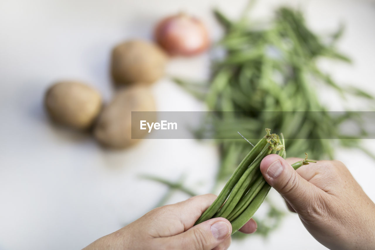 Close-up of hand holding green bean