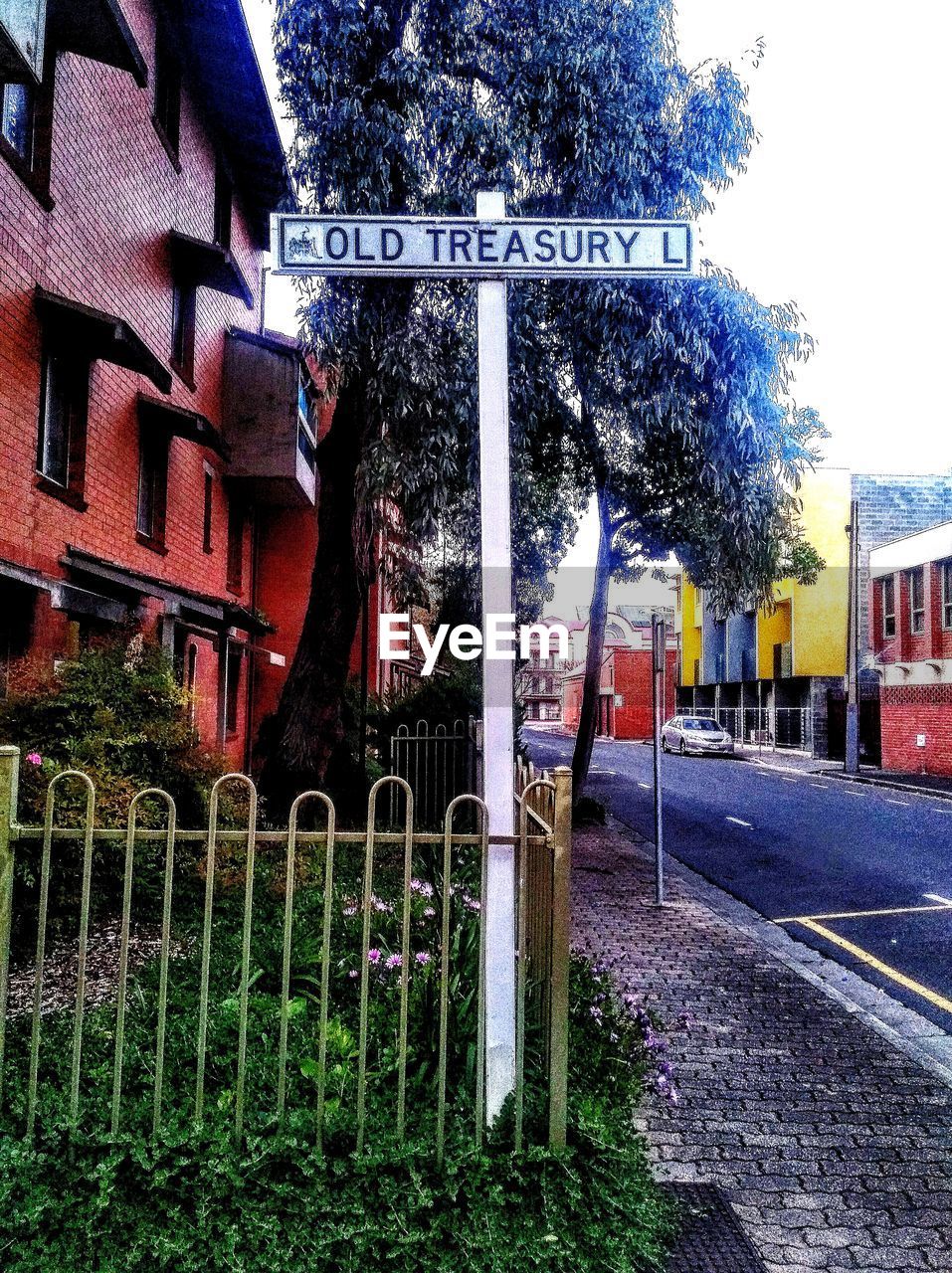 TEXT ON STREET BY TREE AGAINST BUILDINGS