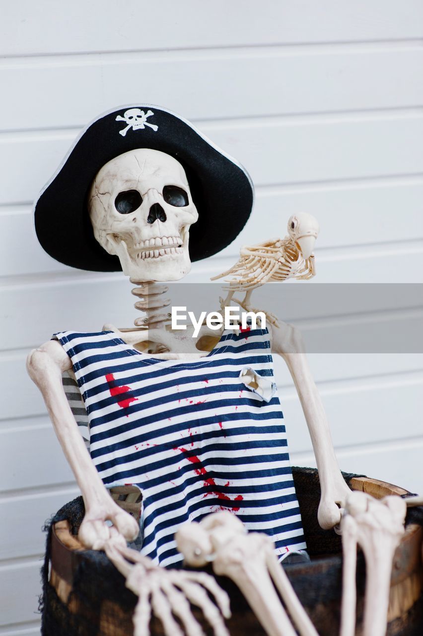 Skeleton with pirate hat in drum