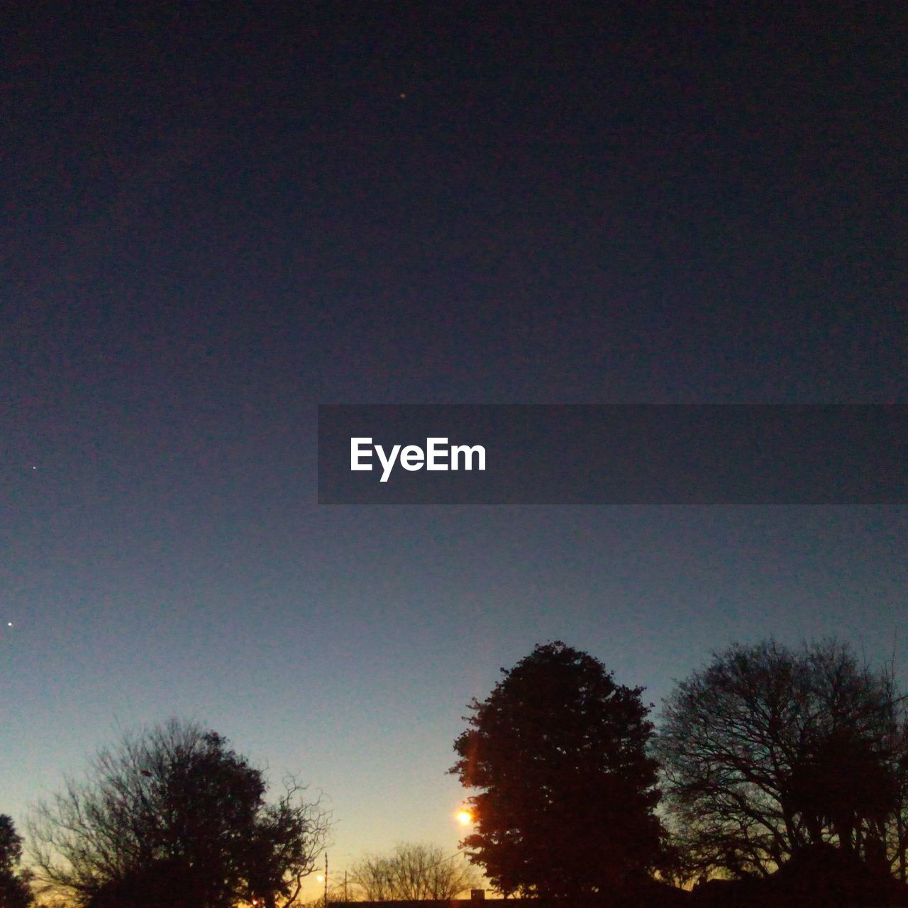 SILHOUETTE OF TREES AGAINST SKY