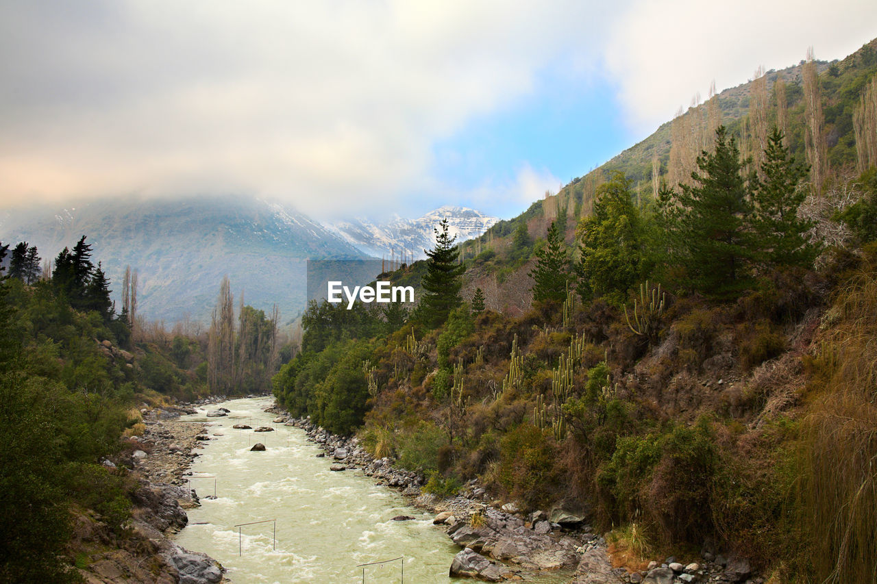 PANORAMIC VIEW OF TREES ON LANDSCAPE AGAINST SKY