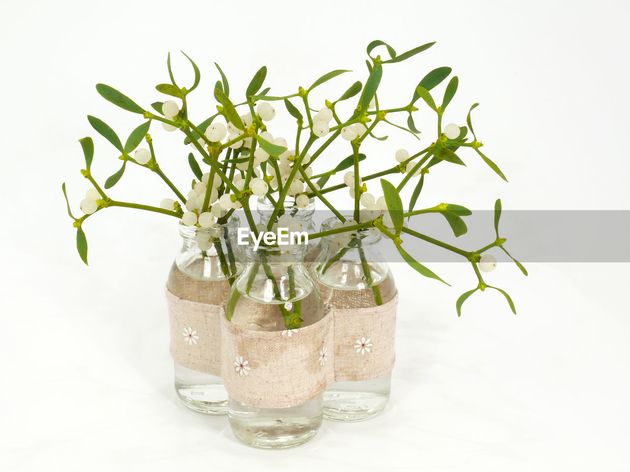 Close-up of flowering plants in bottles against white background