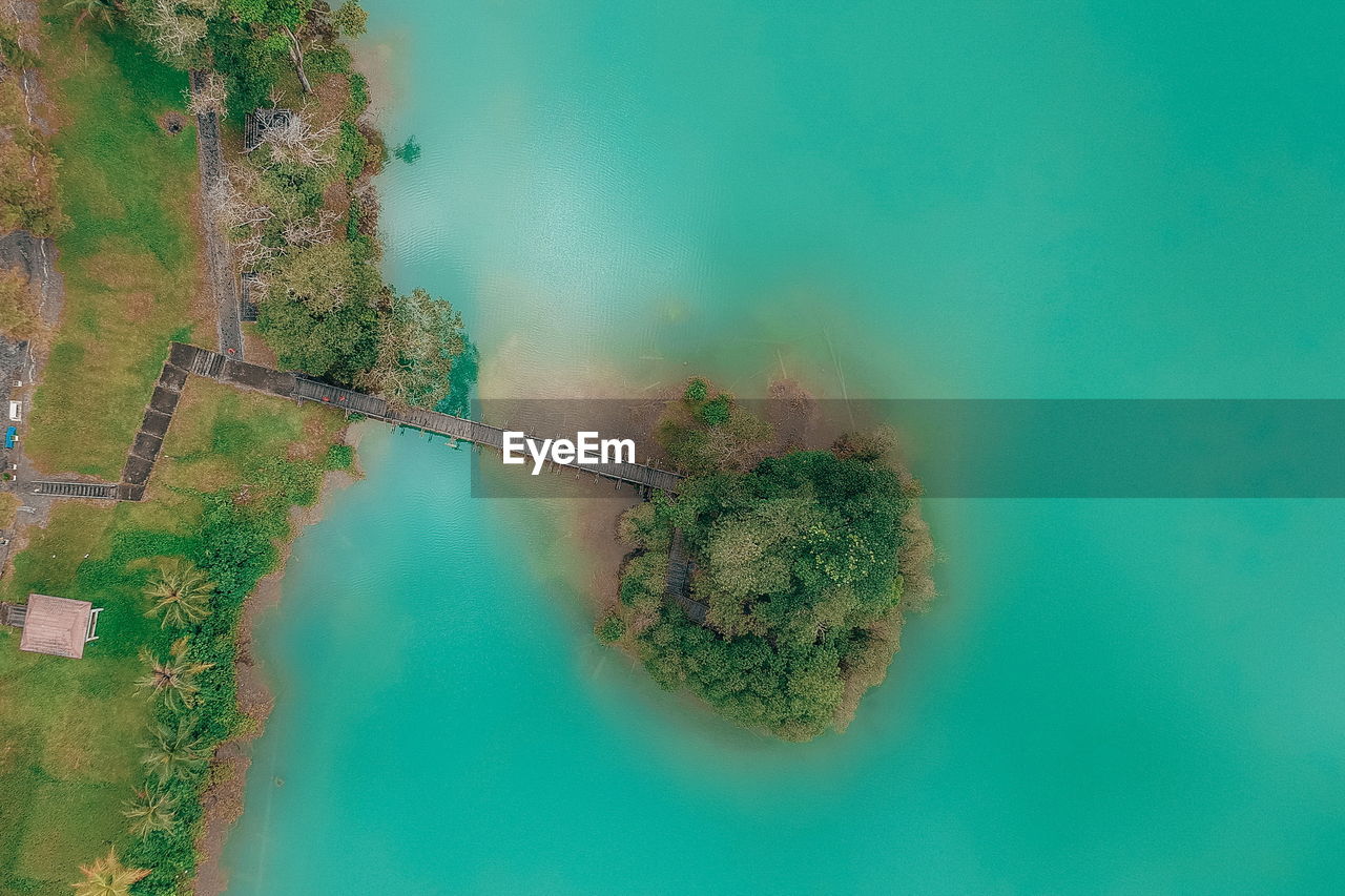 High angle view of plants by trees