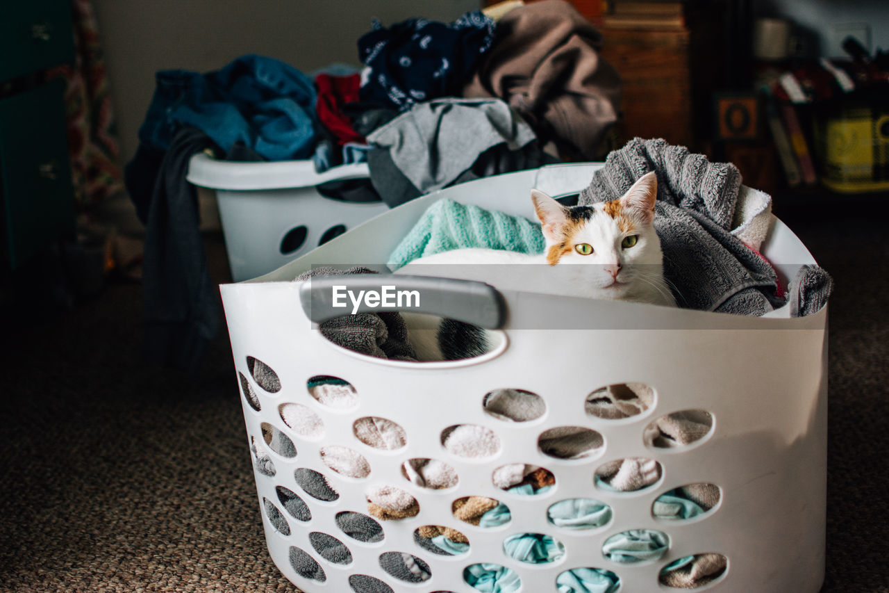 Cat lying in a clothes filled laundry basket