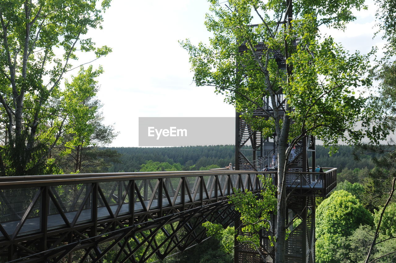 tree, railing, bridge - man made structure, growth, outdoors, day, nature, no people, river, landscape, footbridge, forest, sky, scenics, beauty in nature, architecture