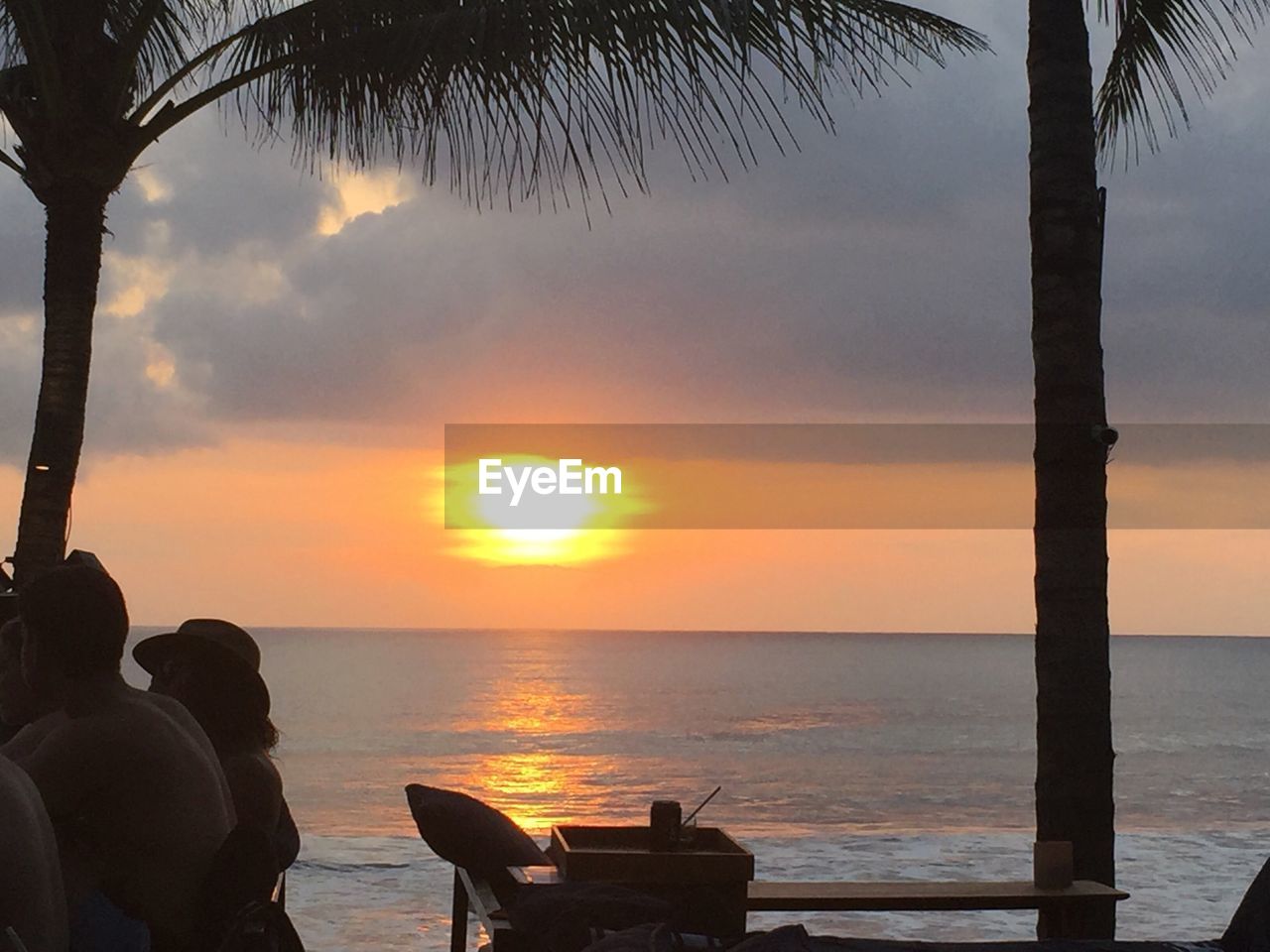 LOW SECTION OF PALM TREE AT BEACH DURING SUNSET