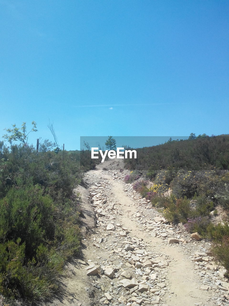 EMPTY ROAD ALONG LANDSCAPE