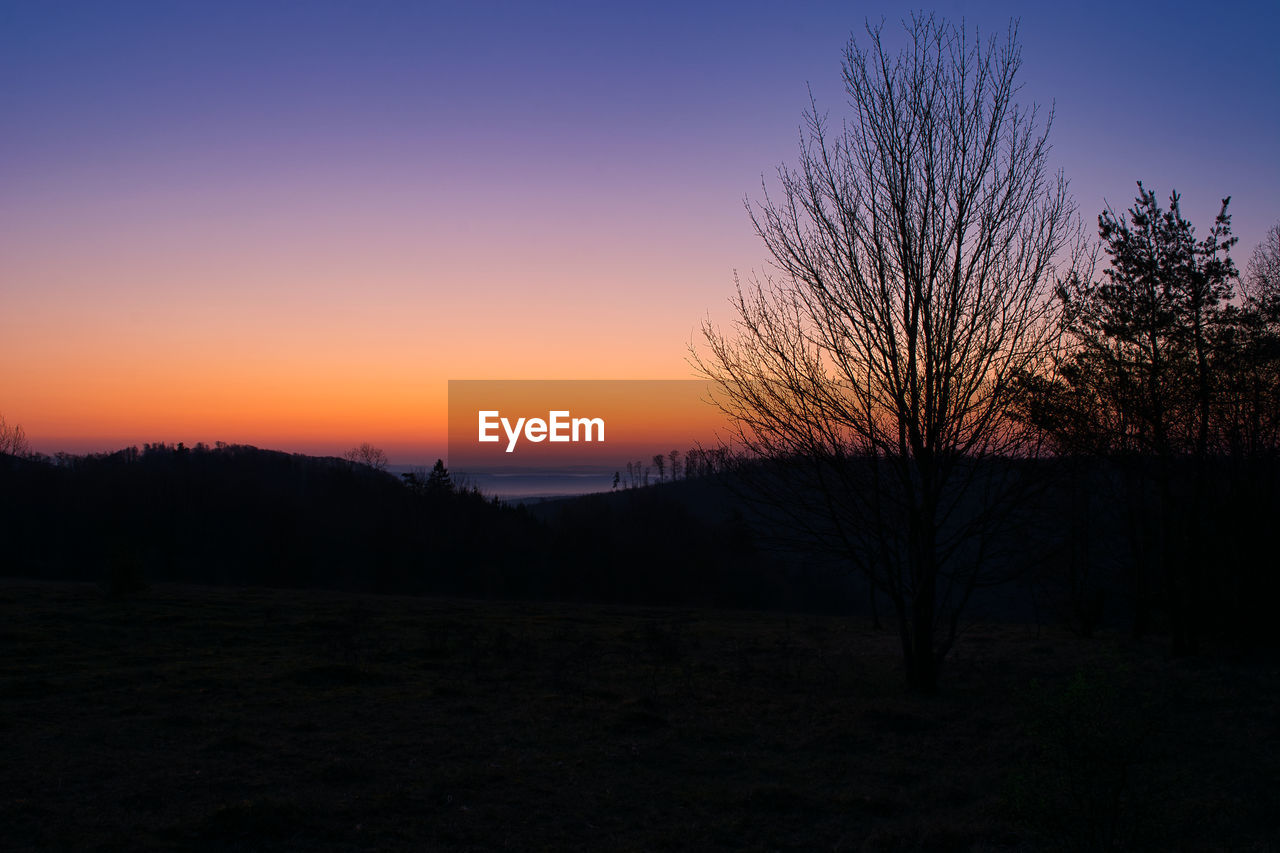 Silhouette bare trees on landscape against sky during sunset