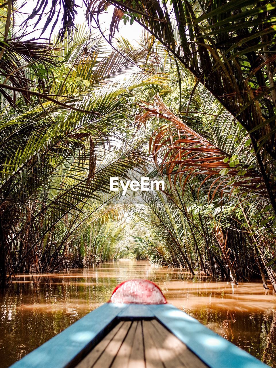 Boat on lake amidst trees in forest