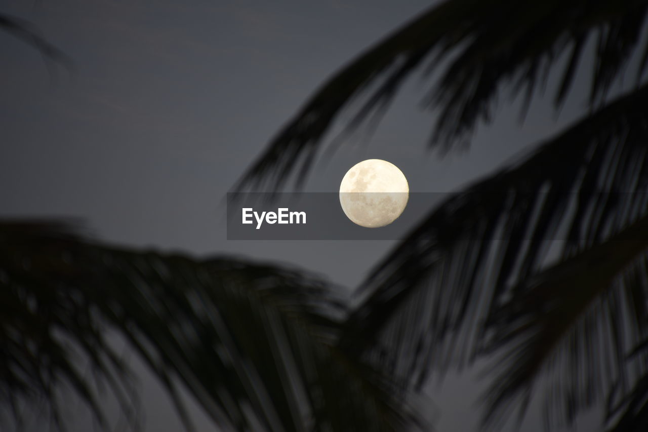 Low angle view of moon against sky at night