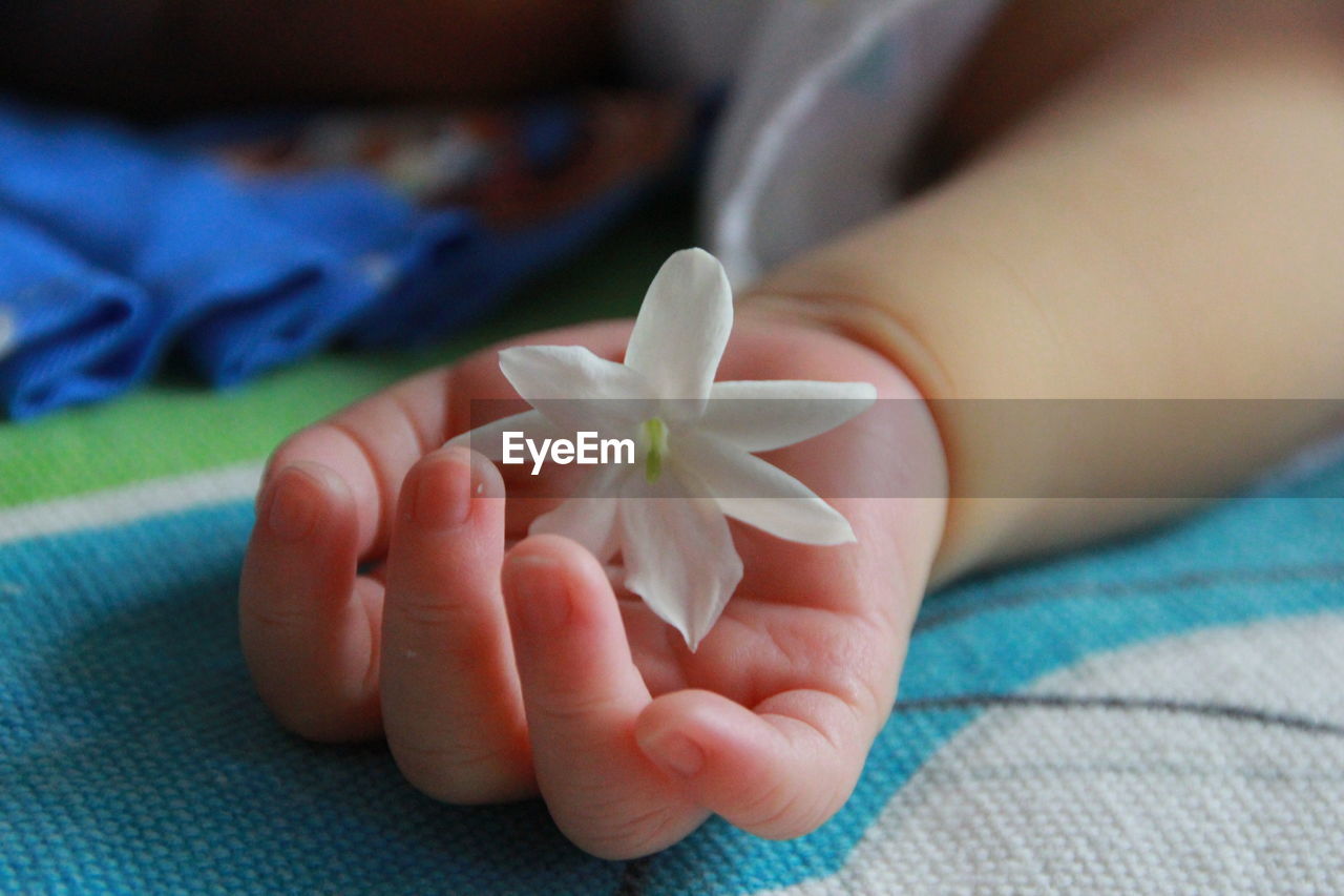 High angle view of flower on baby hand sleeping on bed
