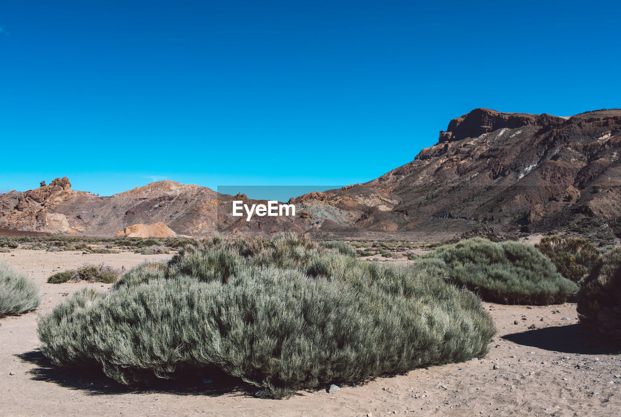 SCENIC VIEW OF LAND AGAINST CLEAR BLUE SKY