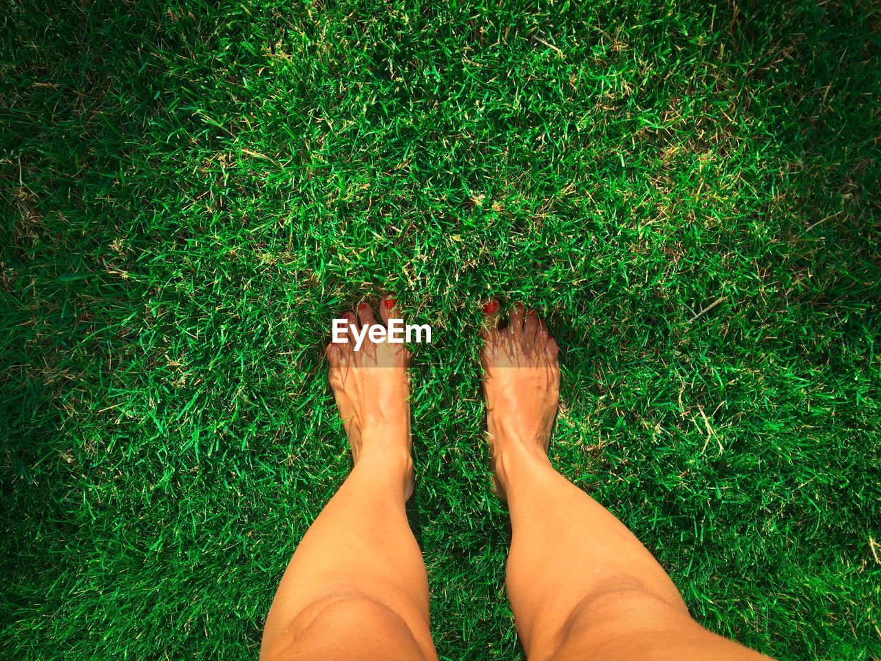 Low section of woman standing on field