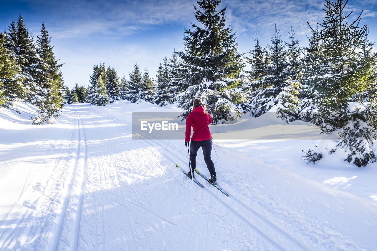 Rear view of person skiing on snow covered landscape