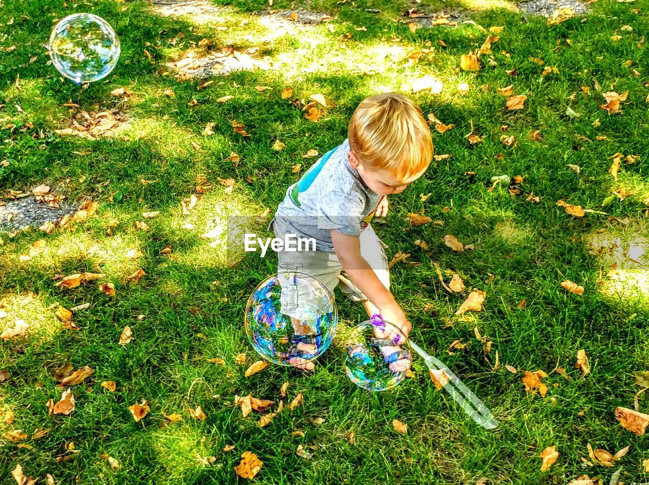 High angle view of boy making bubbles on grassy field