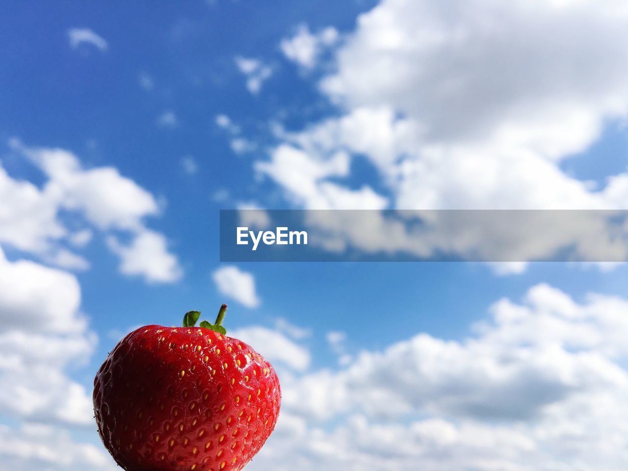 Close-up of strawberry against sky