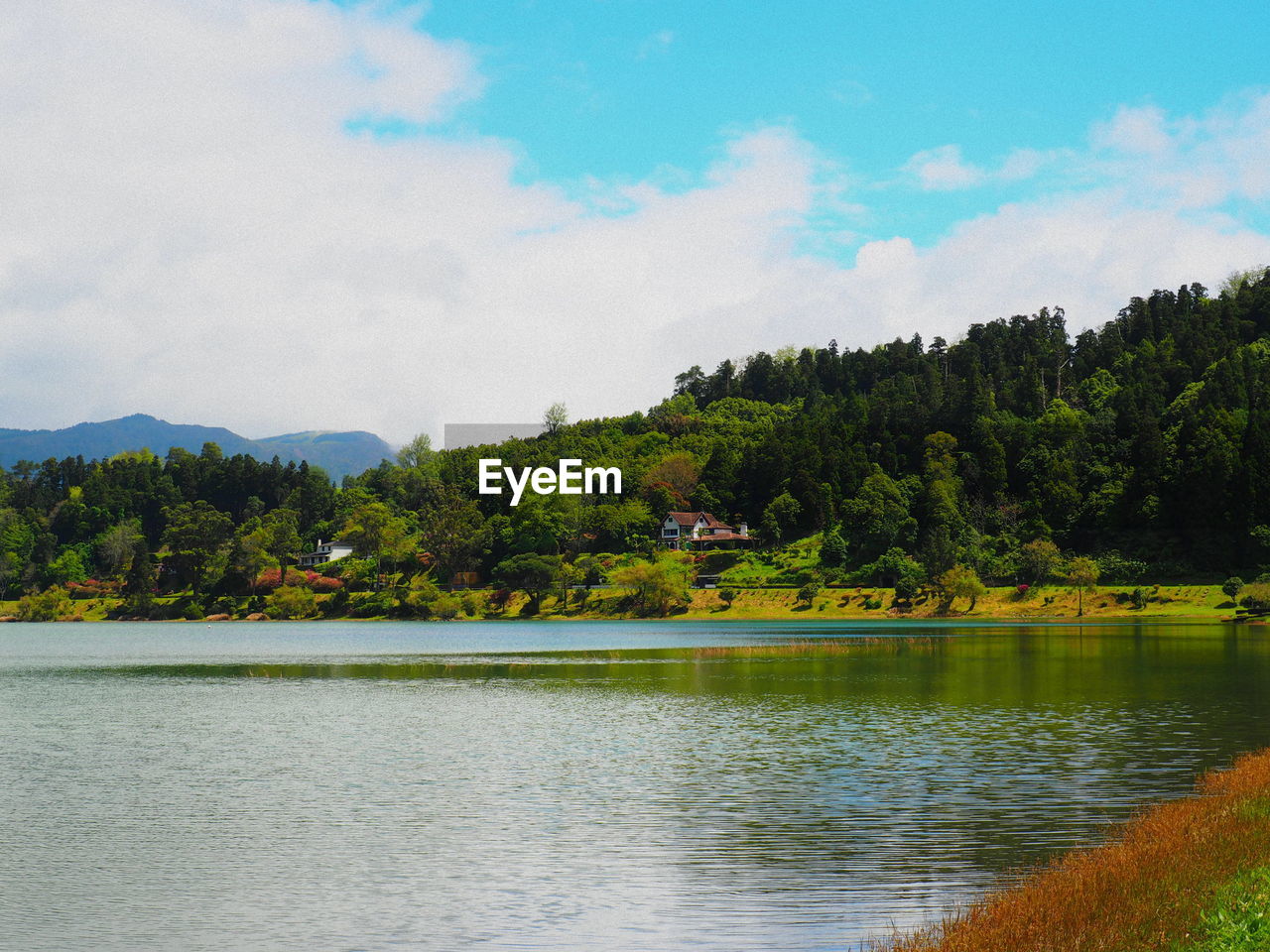 SCENIC VIEW OF LAKE AND TREES AGAINST SKY