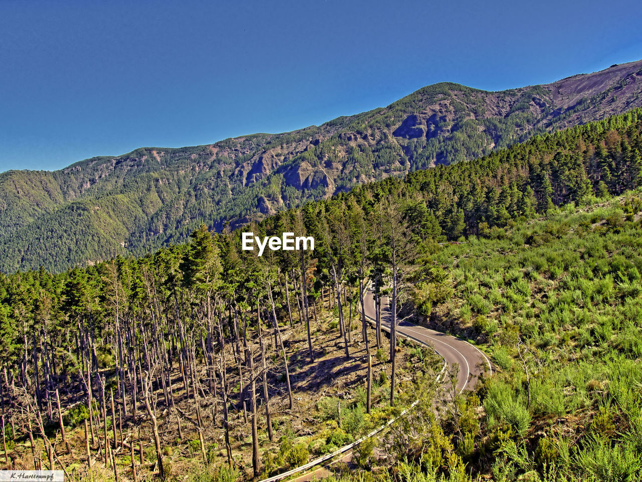 High angle view of empty road amidst trees on landscape near green mountains