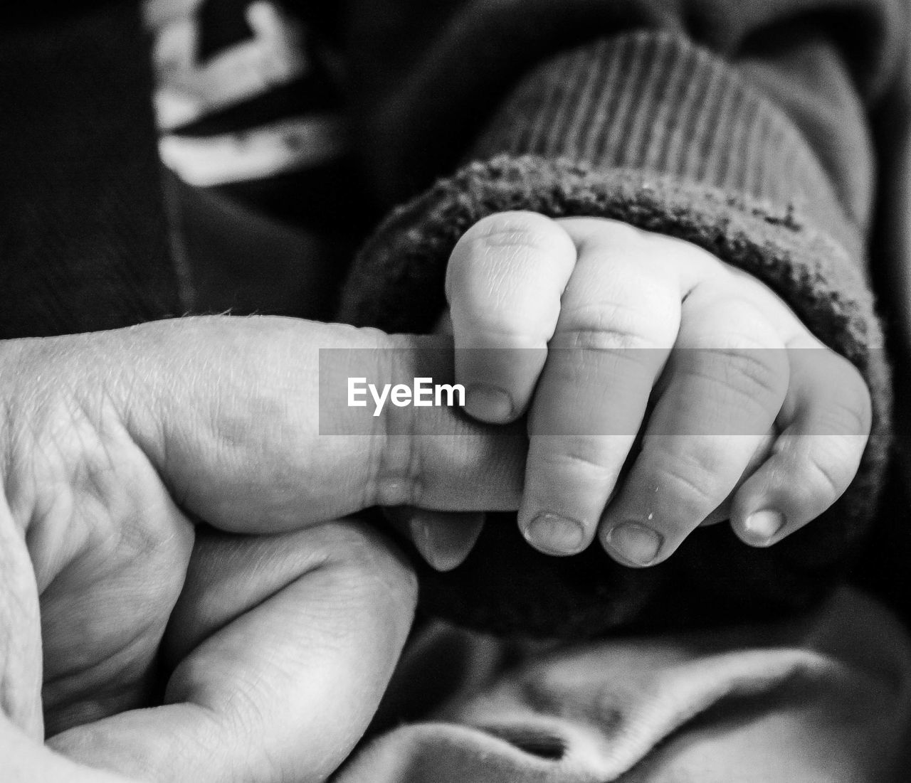 Close-up of father holding baby hand