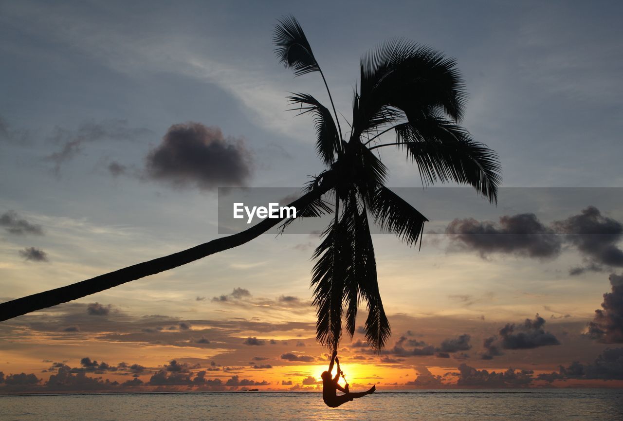 Silhouette man hanging from palm tree at beach during sunset