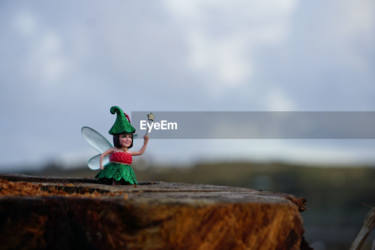 sky, nature, cartoon, cloud, day, blue, focus on foreground, sea, childhood, representation, outdoors, one person, animal, animal representation, wood, selective focus, copy space, toy, child, animal themes