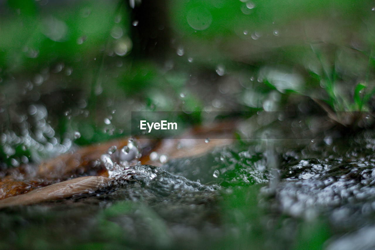 CLOSE-UP OF RAINDROPS ON GRASS