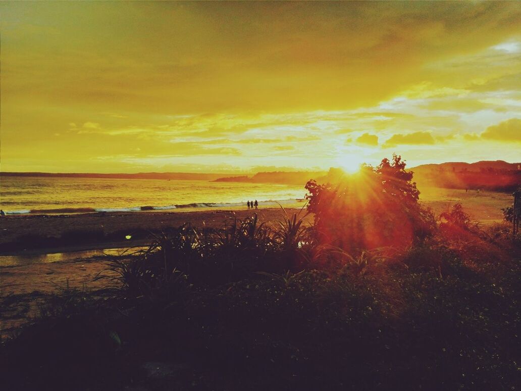 View of calm beach at sunset