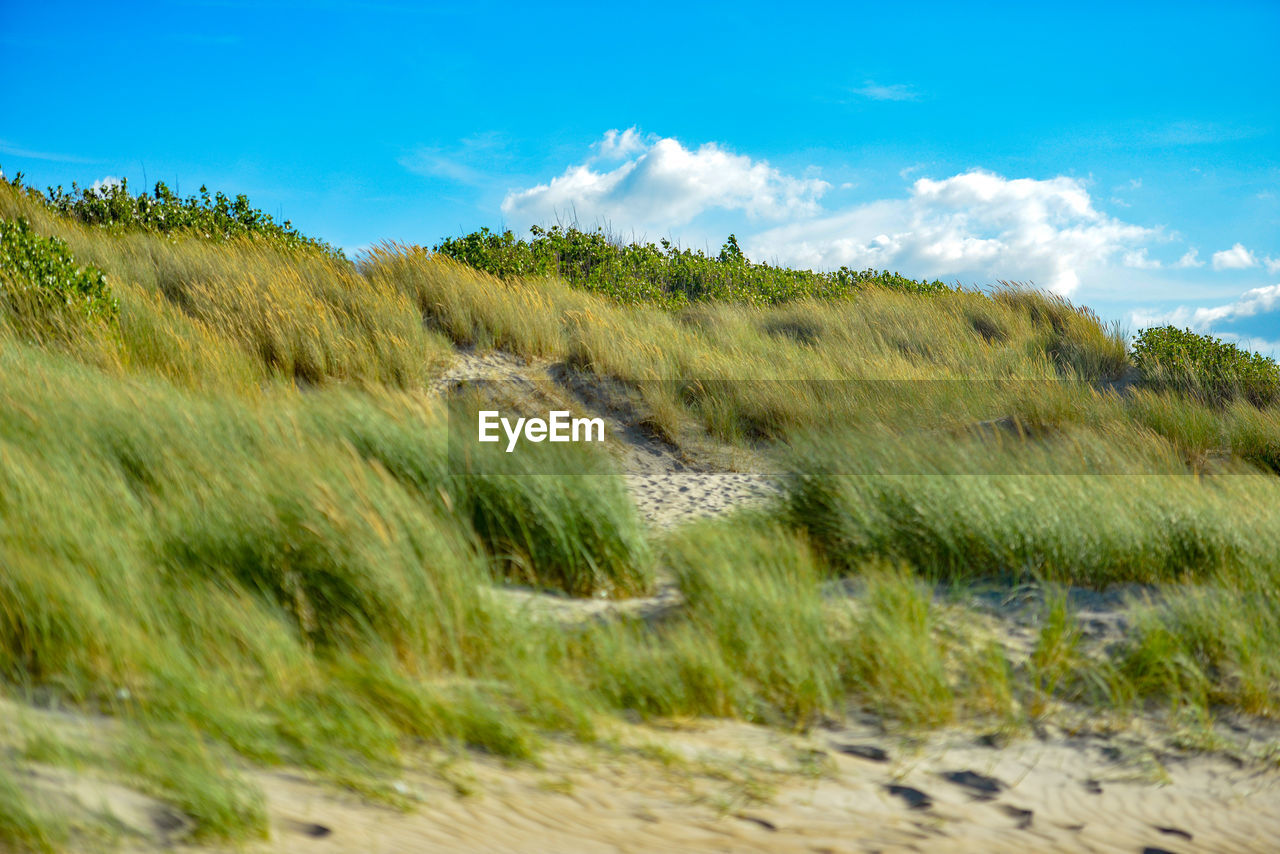 SCENIC VIEW OF LAND AGAINST BLUE SKY