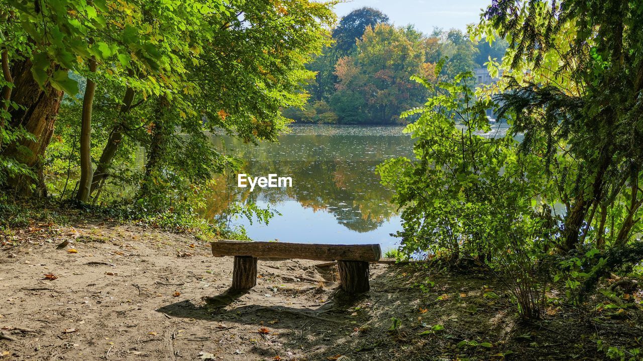 BENCH AMIDST TREES BY LAKE
