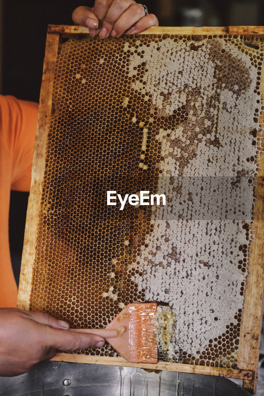 Thick honey dripping down honeycomb. man hand gather fresh honey with a scapula. gold honey 