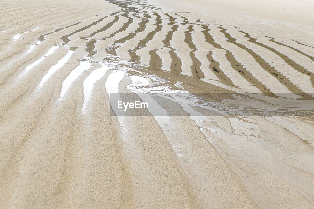 TIRE TRACKS ON SAND DUNES AT DESERT