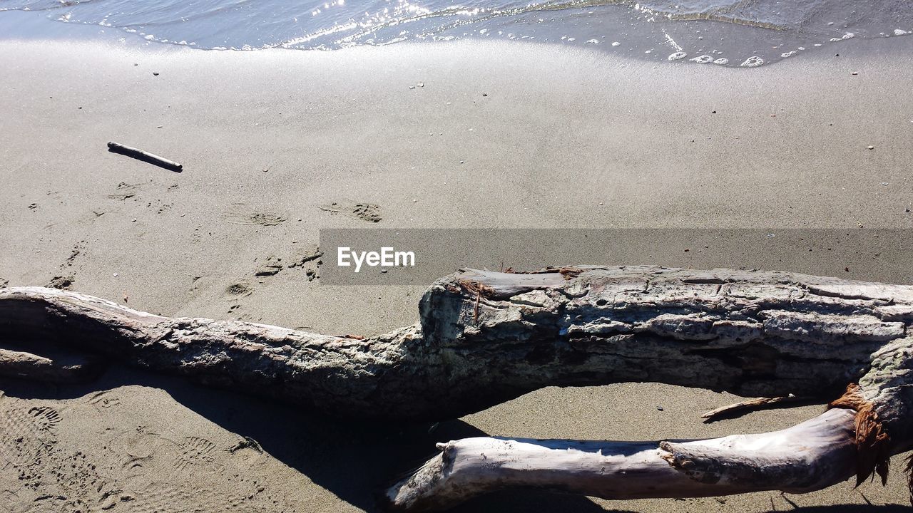 HIGH ANGLE VIEW OF DRIFTWOOD ON SHORE