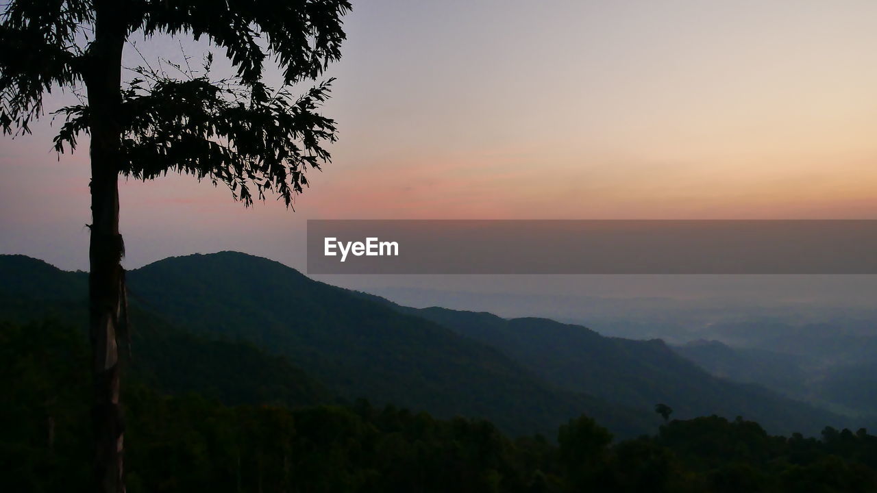 SILHOUETTE TREES AGAINST MOUNTAIN DURING SUNSET