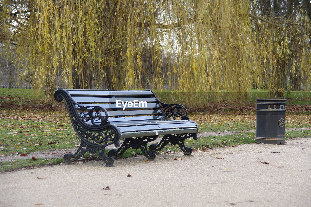 EMPTY BENCH IN PARK BY TREES