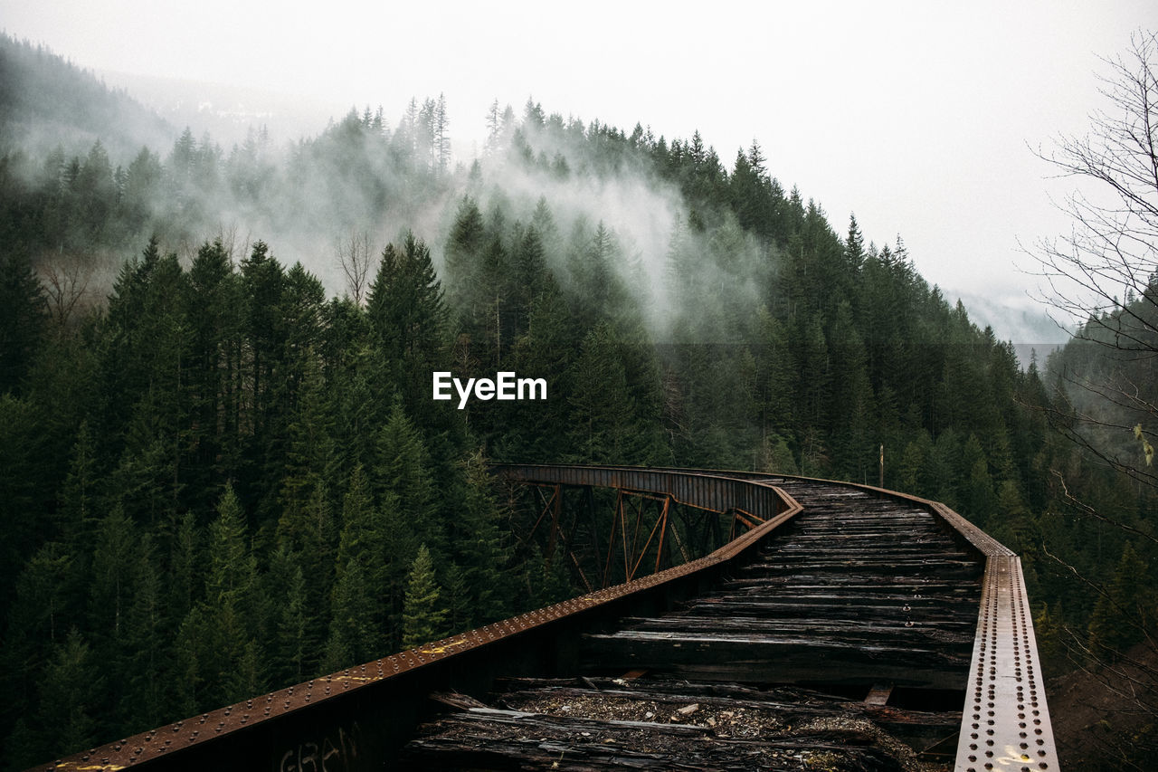 Panoramic view of forest against sky