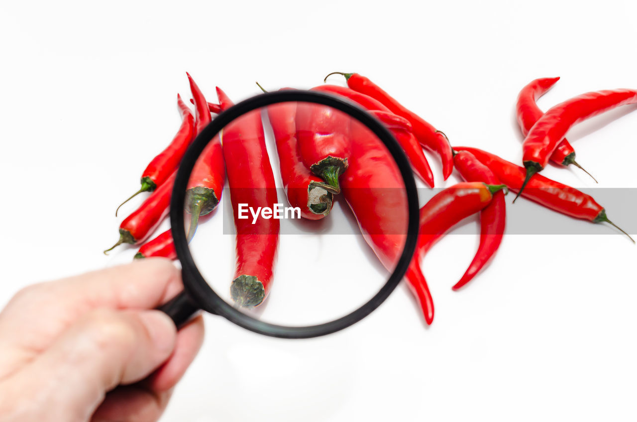 red, hand, white background, cut out, vegetable, studio shot, one person, holding, chili pepper, indoors, close-up, spice, food and drink, bell peppers and chili peppers, finger, pepper, food, adult, plant, flower, produce