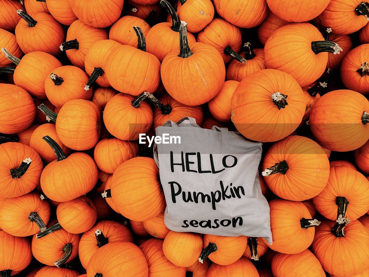 VARIOUS PUMPKINS FOR SALE AT MARKET STALL