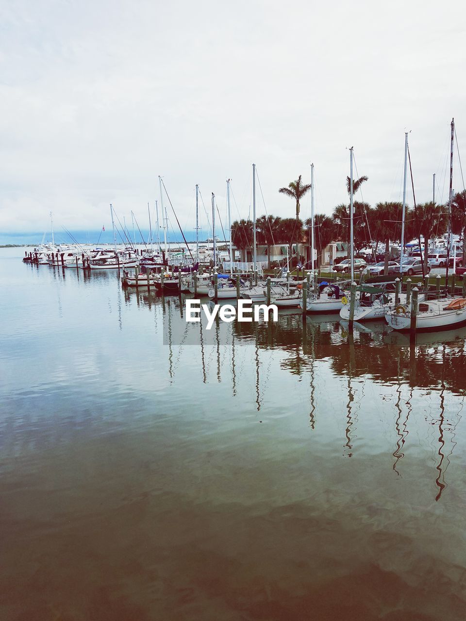 Sailboats moored in harbor against sky