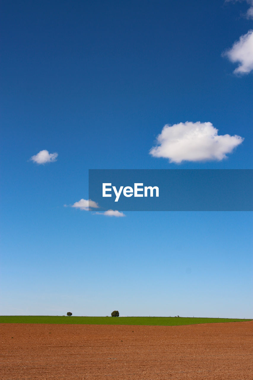 Scenic view of agricultural field against blue sky