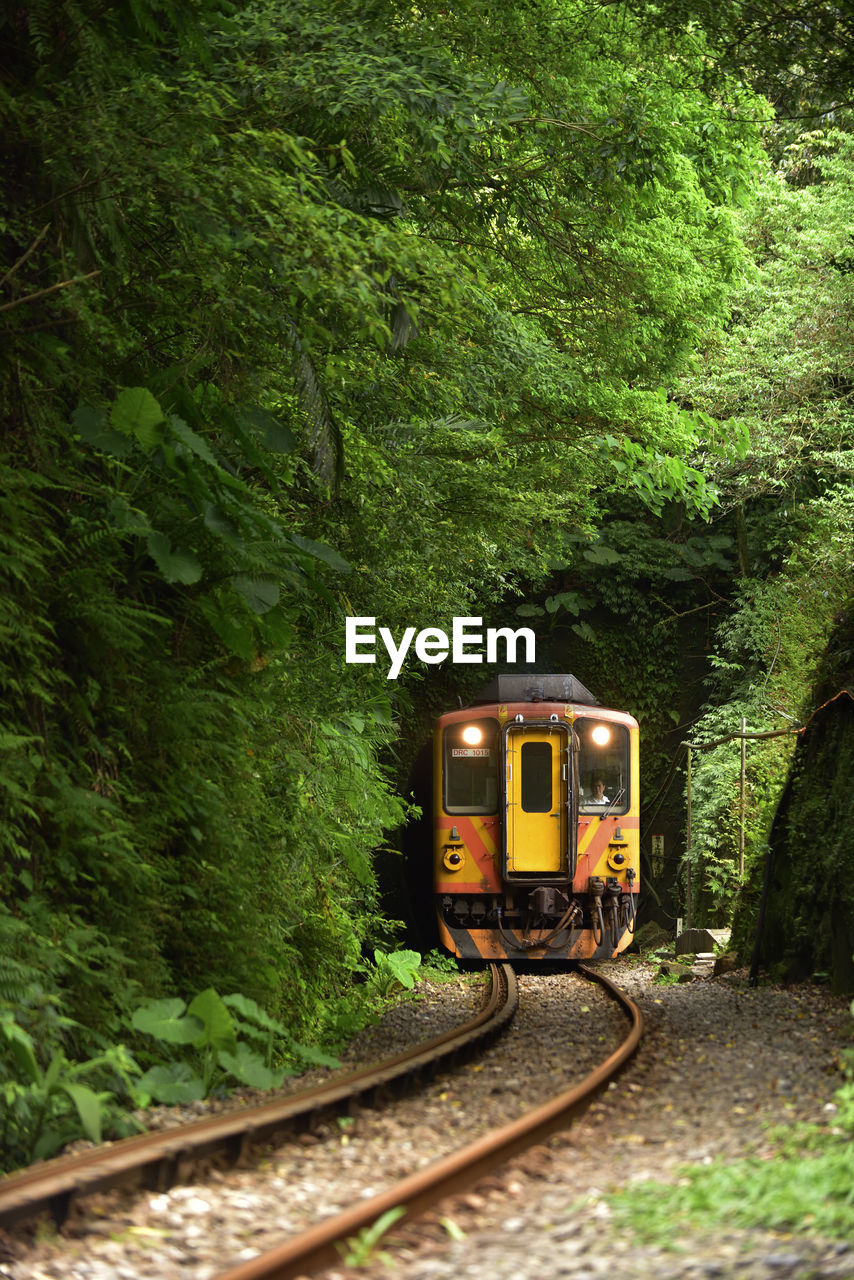 Train on railroad track against trees