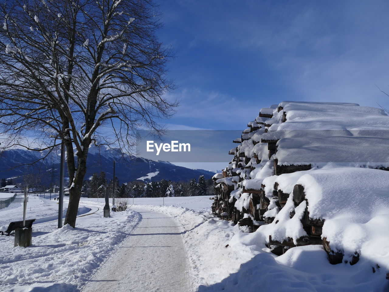 SNOW COVERED BARE TREES ON SNOWCAPPED LANDSCAPE AGAINST SKY