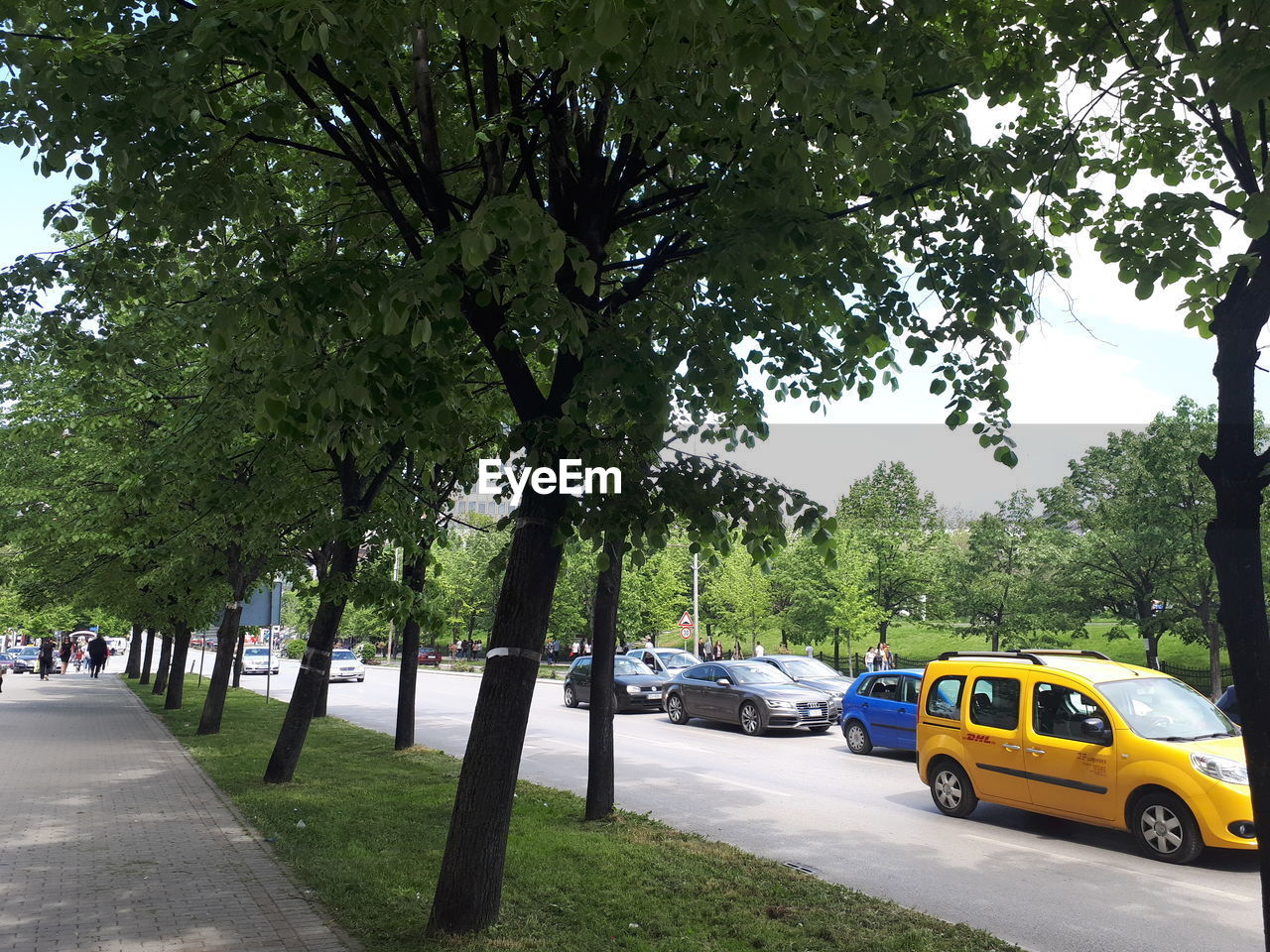 VIEW OF CARS ON ROAD IN CITY