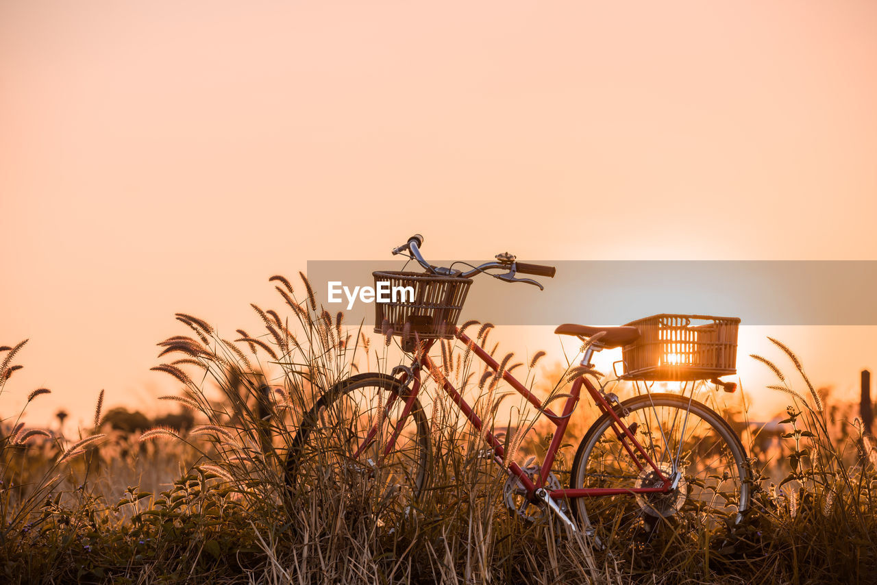 Bicycle parked amidst plants on field against clear sky during sunset