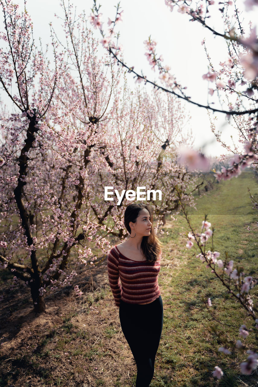 Full length of beautiful young woman standing by cherry blossom tree