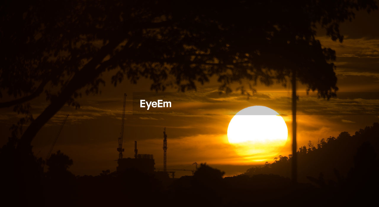 SILHOUETTE TREES AGAINST SUNSET SKY