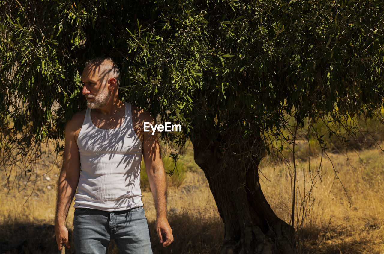 Adult man in white tank top and jeans standing with olive tree in summer