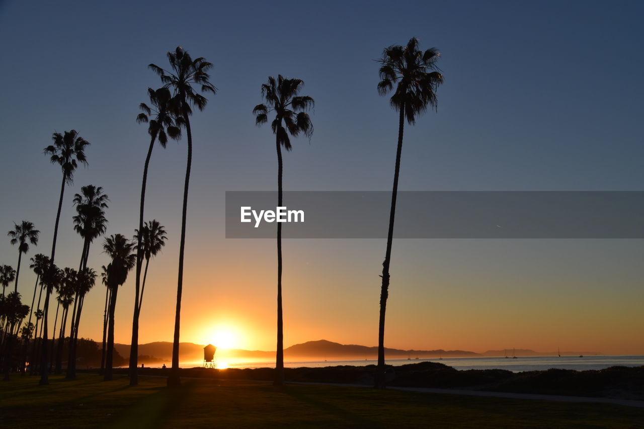 Silhouette palm trees against sky during sunset